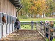 BP011124-118 - Ben Pauling Stable Visit